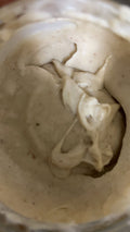 CHADELYN ROOTS